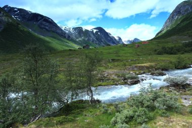 Runde Adası Norveç'in kuzeyinde yer.