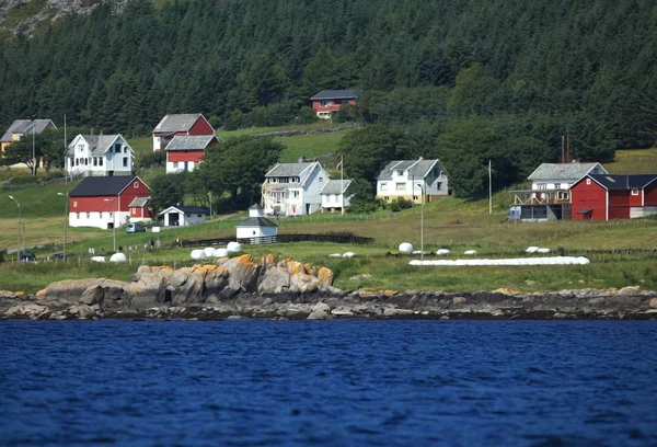 Runde Island Est Situé Dans Nord Norvège — Photo