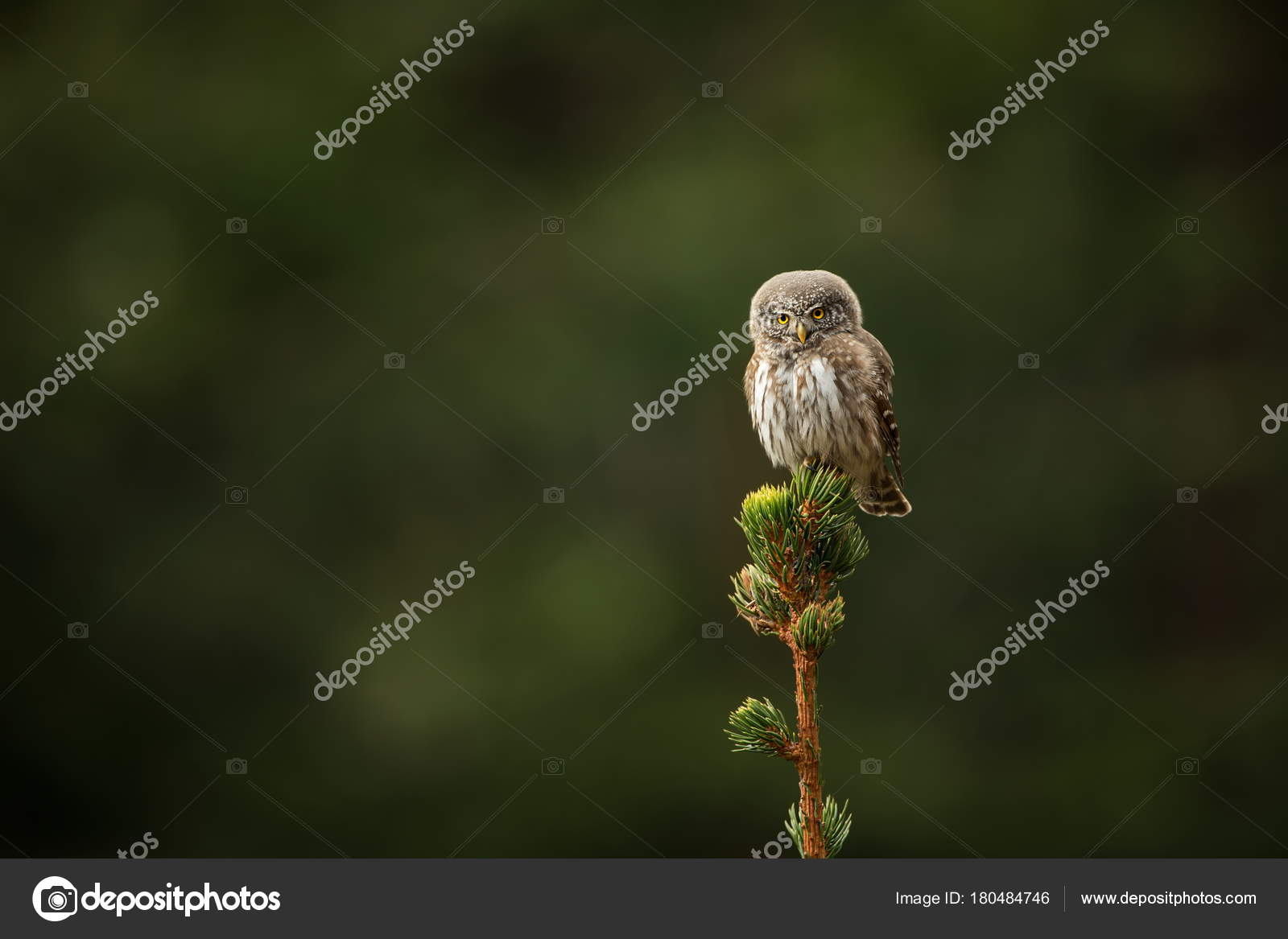 nord rencontre nature
