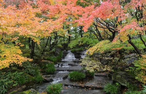 Kokoen, sonbahar mevsiminde geleneksel Japon bahçesi — Stok fotoğraf