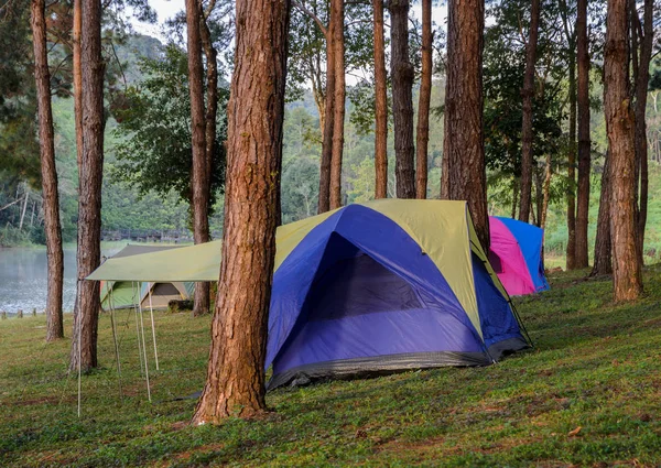 Camping Namioty w pobliżu jeziora — Zdjęcie stockowe