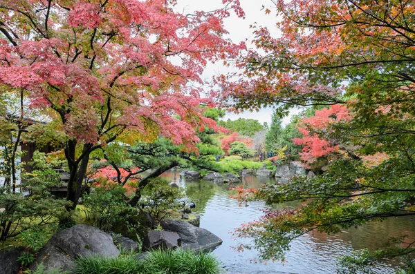 Jardin japonais traditionnel pendant la saison d'automne — Photo