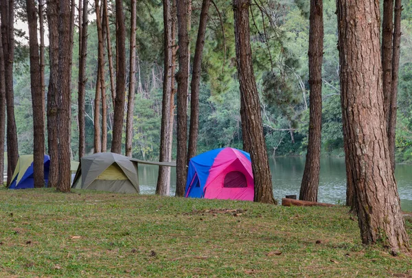 Палатки у озера — стоковое фото