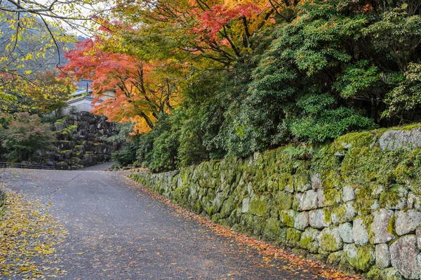 Ruta romántica de otoño en Miyajima, Japón — Foto de Stock