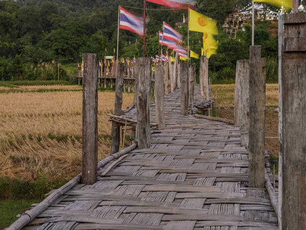 Bambusbrücke führt vorbei an Reisfeld zum Tempel — Stockfoto