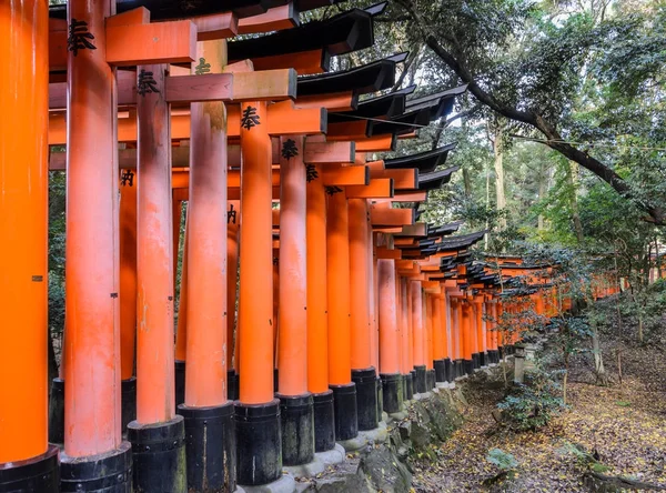 Fushimi Inari Taisha-Schrein in Kyoto, Japan — Stockfoto