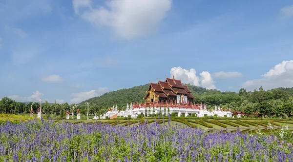 Piękny widok architektury Lanna tajski kwiat ogród — Zdjęcie stockowe