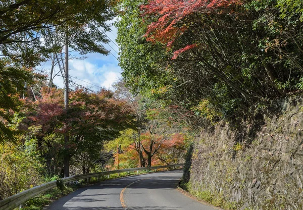 Cena de outono com floresta de estrada curva no Japão — Fotografia de Stock