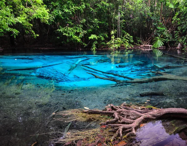 Zümrüt Mavi Havuz Krabi Eyaleti, Tayland — Stok fotoğraf