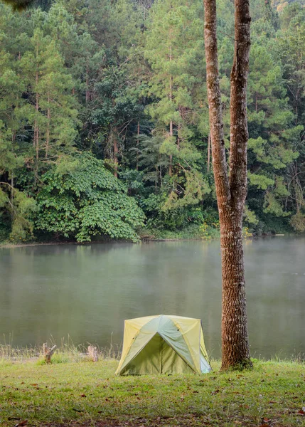 Lake yakınlarında kamp çadırları — Stok fotoğraf