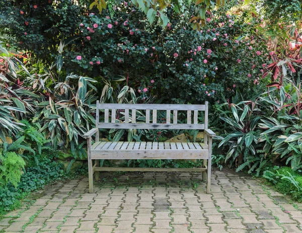 Bänk i grönskande trädgård blomma växt — Stockfoto