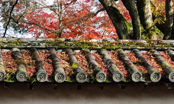 Outono caído folhas de bordo no telhado do templo japonês — Fotografia de Stock