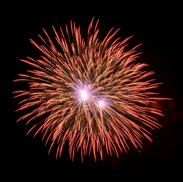 Feux d'artifice colorés dans le ciel noir — Photo