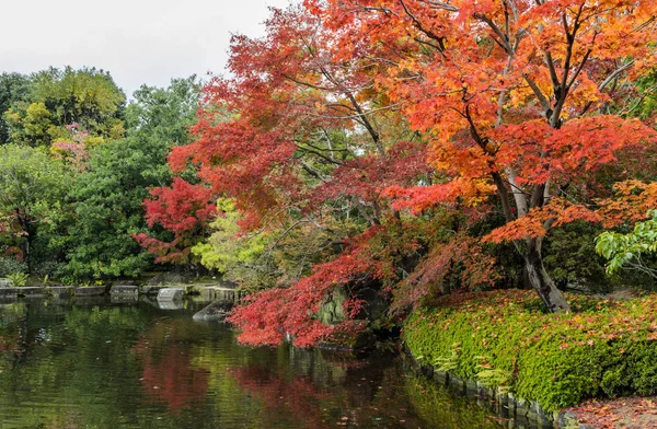 Traditionell japansk trädgård under höstsäsongen — Stockfoto