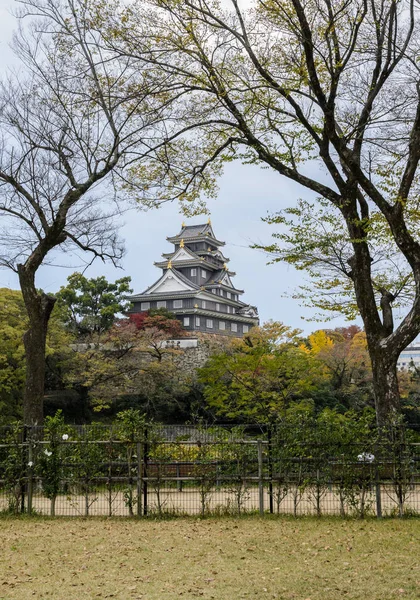 Ιαπωνικά φθινόπωρο χρώμα του κάστρου Οκαγιάμα Οκαγιάμα, Ιαπωνία — Φωτογραφία Αρχείου