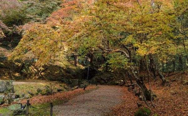 色の滝庭の紅葉京都醍醐寺 — ストック写真