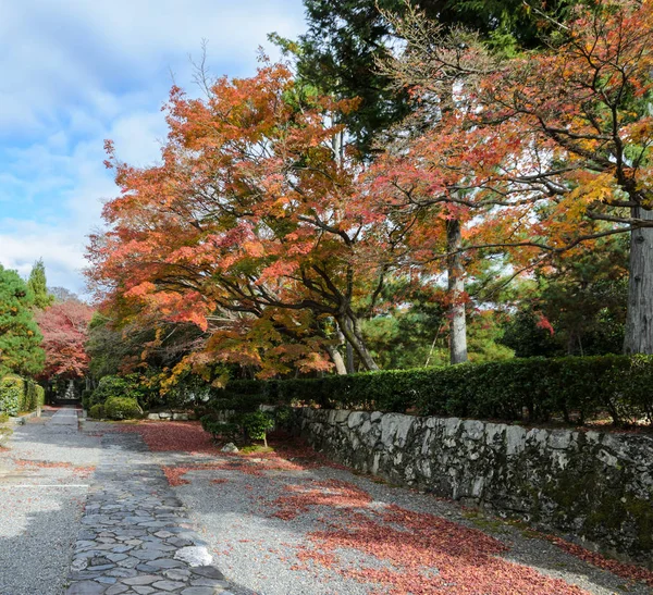 Japanischer Herbstgarten im Tempel Tenryuji während der Herbstsaison i — Stockfoto