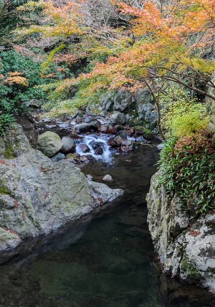 Wasserfall im Minoo oder Minoh Nationalpark im Herbst, Osaka, Jap — Stockfoto