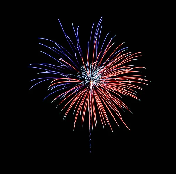 美丽的节日蓝色和红色烟火陈列在夜空中 新年和周年纪念的概念 — 图库照片