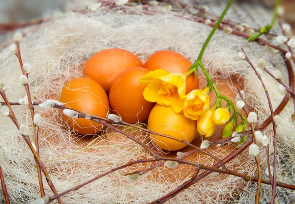 Paskalya yumurta bir ahşap stand willow dallar ile renkli