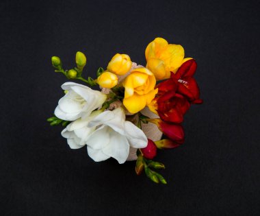 Frezya beyaz, sarı ve kırmızı siyah bir arka plan, üstten görünüm üzerinde küçük bir Vazoda Çiçekler