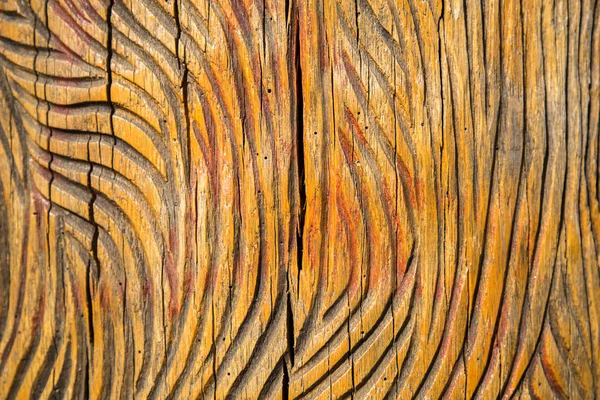 wood texture wood-carvings in the Park