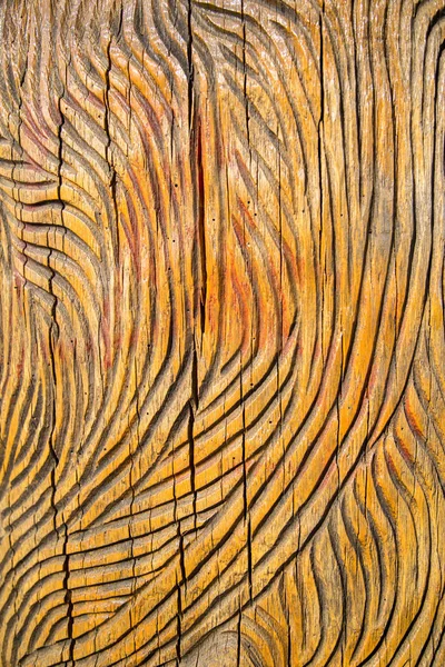 wood texture wood-carvings in the Park