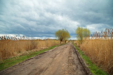 Bahar manzara, road, marsh