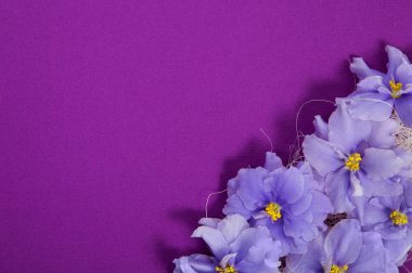 Köşedeki bezemeleri Menekşe ile tebrik kartı