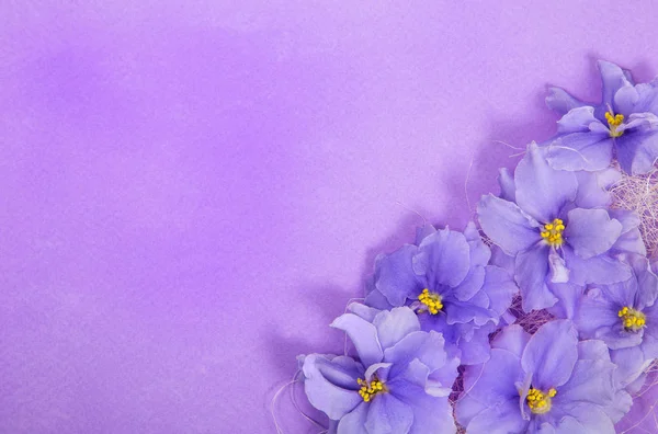 Köşedeki bezemeleri Menekşe ile tebrik kartı