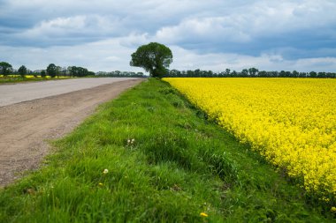 yol, çim, gökyüzü ve bir alan