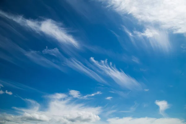 風と青い夏の空 — ストック写真
