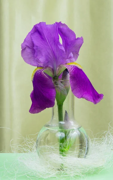 Produto químico íris roxo em recipiente de vidro — Fotografia de Stock