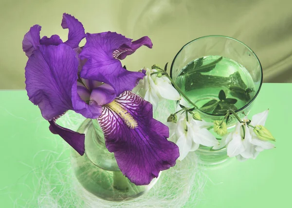 Iris púrpura y las campanas blancas del producto químico en un recipiente de vidrio — Foto de Stock