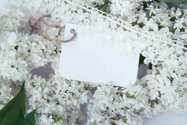 Etiqueta no fundo de lilás branco — Fotografia de Stock