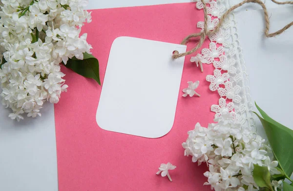 beyaz lila arka plan üzerinde tag