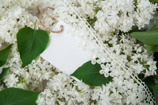 Etiqueta no fundo de lilás branco — Fotografia de Stock