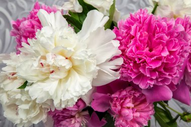 pembe ve beyaz şakayık çiçekleri ihale 