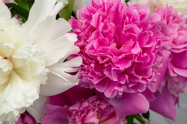 pembe ve beyaz şakayık çiçekleri ihale 