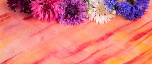Kolorowych kwiatów chabrów — Zdjęcie stockowe