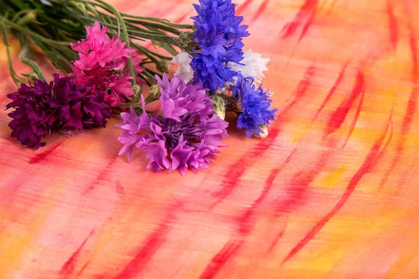 Kolorowych kwiatów chabrów — Zdjęcie stockowe