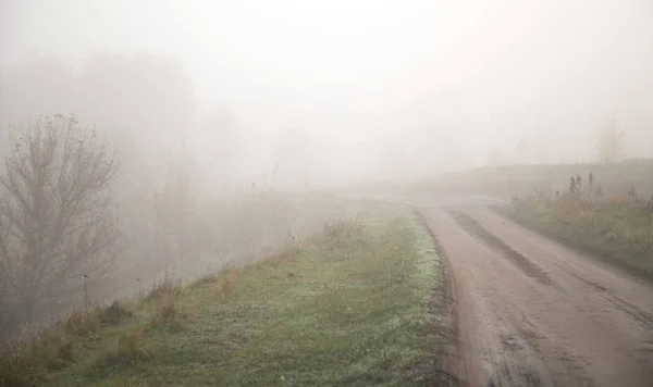 Camino Otoño Largo Del Páramo Mañana Brumosa — Foto de Stock