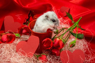 Sevgililer günü kartpostal bir gül, kalp, bir orman hamster ile kırmızı tonlarında