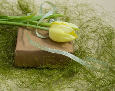 yeşil zemin üzerine sarı bahar Lale