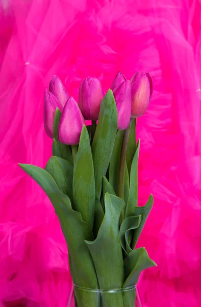 a bouquet of pink spring live tulips against the background of a pink tulle skirt with frills