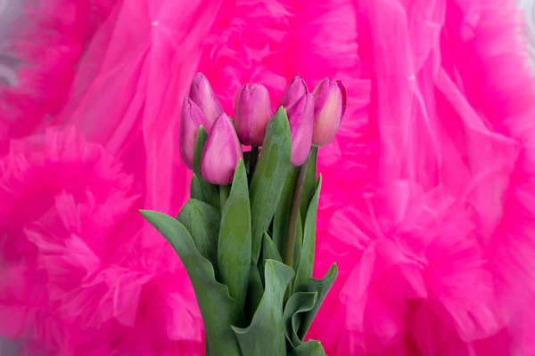 Bukiet Róż Wiosna Live Tulipany Tle Różowego Tiulu Spódnica Falbankami — Zdjęcie stockowe