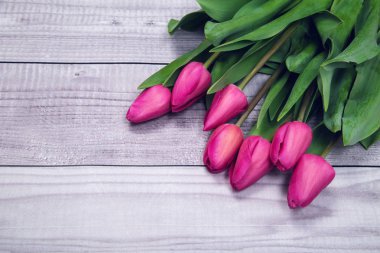 bahar beyaz ahşap zemin kurullarının üzerinde pembe laleler