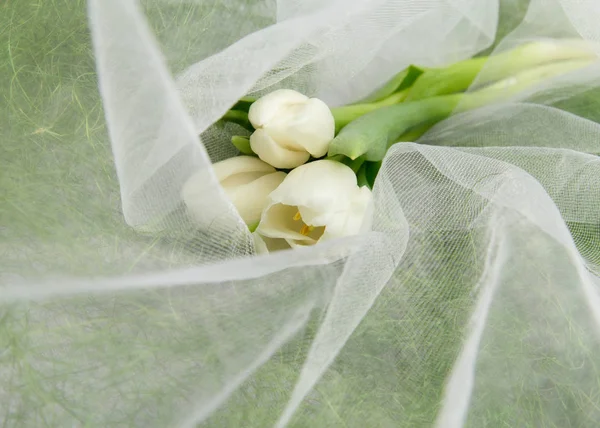 Delicate bouquet of white live tulips on white tulip and grass