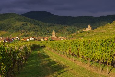 Alsace, Fransa 'daki Kaysersberg kasabası
