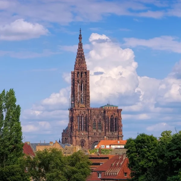 Strasbourg katedrálisa elzászi — Stock Fotó